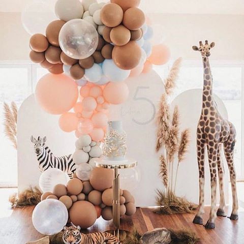 happy hump day party animals! 🥳🦁🦓🦒🎈 #pampaspeople via 〰️ @theeventcollectivex and @setinseptember