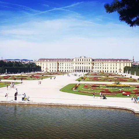 The imperial Schönbrunn Palace is set inside a gorgeous park, complete with antique fountains and statues, impressive tree alleys, romantic pavilions and a mind-boggling labyrinth. The panoramic view from the Gloriette is priceless. #travelbug_vienna #travelbug #tripplannerinaustria #travel #visitaustria #vienna #welcometovienna #exploaringaustria #exploaringvienna #schönbrunnpalace #schönbrunngardens #travelwithkids #familyvacation #funforeveryone #funforfamily #австрия #отпуск #отдых #столица #вена #добропожаловать #посетитеавстрию #шённбрунн