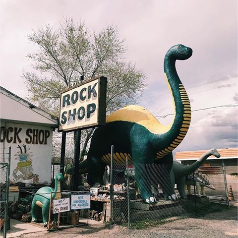 ⬇️⬇️⬇️⬇️⬇️
.
🚥🚥🚥🚥🚥🚥🚥🚥🚥
🚥🚥🚥🚥🚥🚥🚥🚥🚥
.
🚙 Today’s first road trip takes us to Holbrook, Arizona! 🇺🇸
.
🏆 Big congratulations and a souvenir geode go to @merchmotel! 👏
.
🗺 S/he went in search of quirk at the Rainbow Rock Shop and found dinosaurs! 😃
.
🌀🦕🌀🦕🌀🦕🌀🦕🌀
.
Many thanks, merchmotel, for sharing your fantastic fun find with ISOQ! 🕺💃
.
🌀🦕🌀🦕🌀🦕🌀🦕🌀
.
#holbrook #arizona #quirky #roadtrip #roadtrippin #roadtripusa #roadtripping #roadsideamerica #roadsideoddities #roadsideattraction #roadtrippers #explorearizona #travelarizona #exploreusa #travelusa #isoq_merchmotel #isoq_holbrook #isoq_arizona #dinosaur #dino #bigthings #rainbowrockshop #route66 #kitsch #touristattraction #rockcollecting #getyourkicks
.
🚥🚥🚥🚥🚥🚥🚥🚥🚥
🚥🚥🚥🚥🚥🚥🚥🚥🚥
.