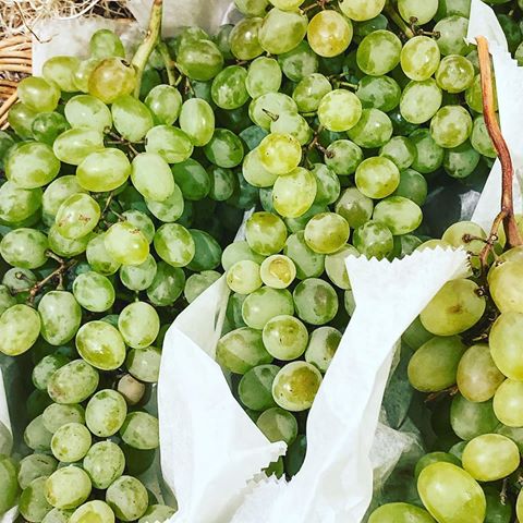 Art in food #presentation #bacco #baccocateredevents #baccocatering #display #fooddesign #chef #cheflife #primavera #uva #frutta #fruttafresca #grapes #springtime #cheflauren #fruitandcheese #boutiquecatering #eatwithyoureyes #nyc #nyccatering