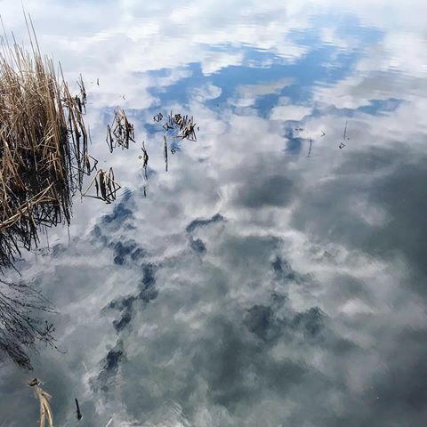 Pretty mk today.
-
-
-
-
#outnabout #sun #water #clouds #sky #landofskybluewaters #lake #diamondlake #reflection #ducks #mrdux #mrnot #osar #immn #612 #minneapolis #minnesota