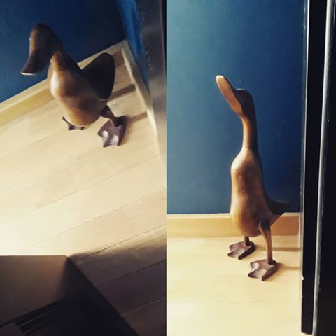 Hello, Duckie!
#wood #duck #woodenduck #blue #floor #blackdoor #oak #podłoga #kaczucha #dąb #drewnianakaczka #niebieski #drewno #czarnedrzwi #zajrzyj_do_wnetrza #maciejko