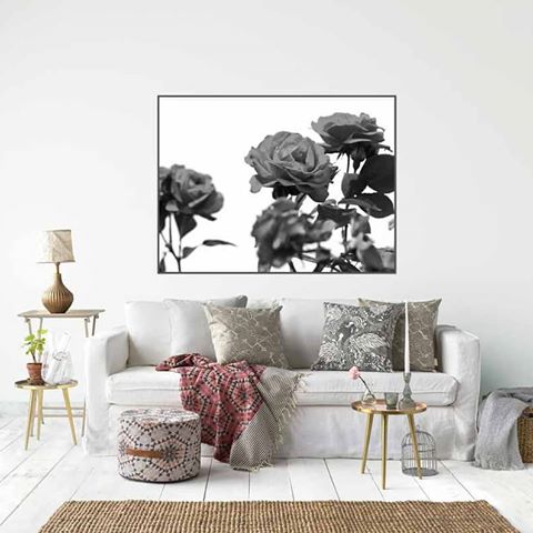 Rose Creeper...⁣
.⁣
.⁣
.⁣
.⁣
.⁣
#wallart #instadecor #fineartprints #interiorinspiration #walldecor #homedecor #homestyling #homeinterior #photographicprints #decor #instahome #homeinspo #interiordesign #decorideas #artprints #blackandwhite #blackandwhitephotography #bnwphotography #lovebnw #monochrome #blackandwhitephotos #blackandwhitelovers #roses #nature #botanical