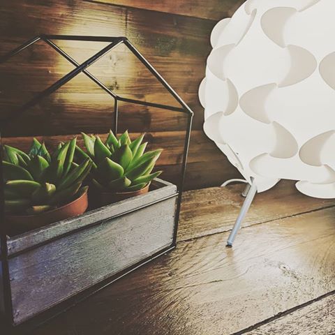 When you see a cute little succulent and think that it's perfect for your stand at work👌, you don't need it but you've got to have it! Let's see if I can keep them alive - I'm not really very good with plants so fingers crossed! 
#succulents #tesco #ikea #light #steampunk #industrialdecor #homedecor #homemade #homestyling #homeinspo #interiordesign #interiors123 #weddingphotographersuffolk #weddingplanning
