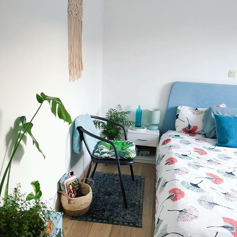 The other side of the bedroom picture I shared couple of days back🌱
You can get an idea how small the room is. So no bright colours, everything kept is very soothing & minimal. Small but sufficient 🙂 -
-
-
-
#decorraaga 
#home #homedecor #currentdesignsituation #bedroom #bedroomgoals #mygreentreasure #bedroomdecor #howihome #interiordesign #interior #crashbangcolour #decor #myhome #indianhomedecor #homedecorindia #brightspaceswelove #mydesiswag #finditstyleit #decorhome #simpledecor #simplehomestyle #simplehomewelove #blue #tropical #bedroomideas #bedroominspo #myplantlovinghome #simpledecor #mirador #miradorlife
