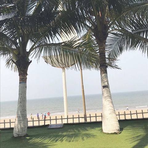 Happy Morning🍀🏝🌴 ☘️
.
.
#beautifulnature #beach #beautifulmorningskies #mygreentreasure #naturephotography #greenry #currentdecorsituation #indiandecorideas #homedecorindia #Inspiremewithdecor #miradorlife #apartmenttherapy #thebrighthome #homedecorindia #amazonhome #currentdesignsituation #interiorinspo #urbanclaphomes #simplystyleyourspace #homecanvas #inspirasia #iloveplants #stylingaddict #homestylingideas #mydesiswag #candlesglamour #simplehomewelove #naturelover