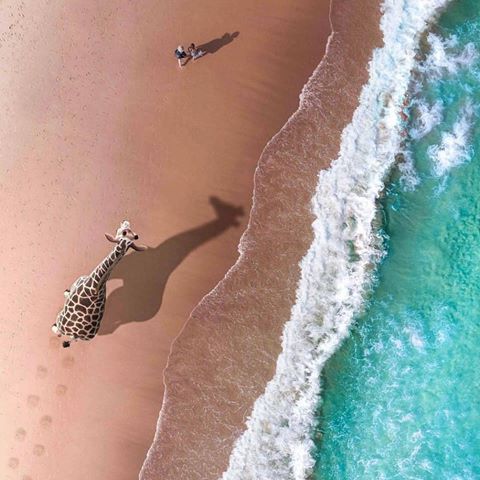 Real or fake?
-
Credits: @afterdaark -
-
#drone #dji #dronephotography #dronestagram #drones #photography #travel #aerialphotography #dronelife #droneoftheday #nature #mavicpro #fpv #mavic #dronefly #photooftheday #landscape #djiglobal #aerial #pro #djiphantom #phantom #gopro #sky #djimavicpro #instagood #djimavic #beach #sunset #bhfyp