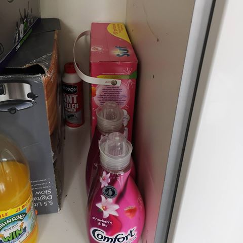 Look how sad my washing stuff looks cos AO.com are idiots and can't deliver a washing machine until Tuesday!!! Breathe!! On the plus side, the random gap in my shelf is perfect for pouring an ale or two! #housegoals #washing #washingmachine @ao #beer #ale @morlandbrewery #morlandbrewery #oldspeckledhen