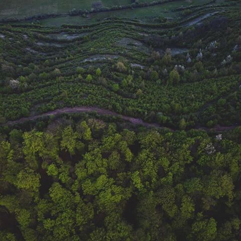 #nature #naturephotography #green #dji #djimavicpro2 #aerialphotography #djiphotography #dronephotography #photography #thursday #sunset #hills #forest #spring #april #djiromania