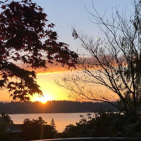 Magical 6am Sunday sunrises brought to you by 3 little dogs who couldn’t hold it until a more reasonable time.... ✨ #homesweethome #OliverAmosBanks #lakewashington