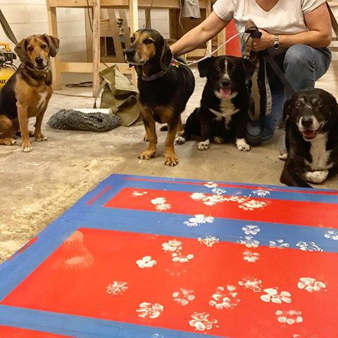 We’ve had a lot of families come leave their mark on their custom tables but last night was a first...we had the distinct pleasure of having Macey, Oreo, Nyla and Tucker come leave their prints on one of our tables!! What a fun way to celebrate your custom furniture!! Maybe we should’ve done a live edge table for these pups...they probably would’ve loved the Bark....🤣🤣🤣 Tag someone who would LOVE to have their pups prints on the bottom of their table!
What story can we help you create?
.
.
.
Visit us at underthetablefurniture.com
#UnderTheTableCompany #InteriorDesign #pupsofinstagram #CustomFurniture #pawprints #Raleigh #WakeForest #shoplocalraleigh #Designinspo #woodshop #MakerLife  #DIYHomeDecor #interiordesignlife #Currentdesignsituation #Furnitureinspiration #Passionforinterior #raleighinteriordesign #raleighdesign #tabledesign #instafurniture  #interiorlovers #topstylefiles #interiorboom #interiordetails #finishwork 
#finditstyleit #interiordesire #myhomevibes