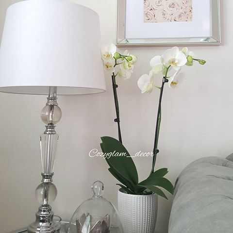 Bless Sunday Everyone.
🌸
🌸
🌸
🌸
🌸
🌸
#homegoods#homeinspo4you#homeinspirations#homestaging#decorationideas#interiordesigner#homedecor#homecreations#decorationideas#glamdecor#rusticglam#everydaydecor#lovedecor#livingroomdecor#sidetable#homesweethome#cozyhome#betterhomesandgardens#orchids#flowers#naturalflowers#freshflowers