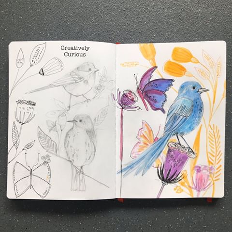 Welcome to #sketchbooksaturday I will be sharing with you every week bits and pieces from sketchbooks past and present.⠀
I have been keeping sketchbooks books for years when my son was little and if he was bored when we were out, I would say draw in the back of my sketchbook. He is 27 now and keeps sketchbooks of his own.⠀
I love using them it’s a place you can be free and do what ever you like,it’s so important for our mental wellbeing to have places just to be.⠀
Todays page is from this week, little birds. I love my iPad but my sketchbook is always in my bag love putting pen to paper.⠀
So I look forward to sharing pages with you every Saturday old and new.⠀
⠀
⠀
⠀
#independentbrand #designer #stationery #stationerylover #notebooks #journaling #mindfullife #creativelife #plantlover #florals #dailypractice #goodmentalhealth #hobbytobrandin10days #inspire #hobbytobrandmember #florals #mothernature #creativelycuriousbrighton #artist #brightonartist #independent  #patterndesign #mindfulness #birds