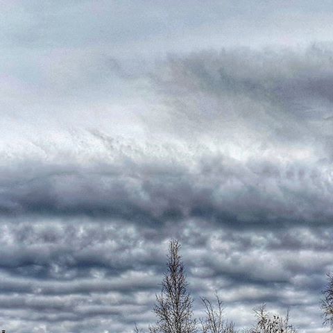 Да и на небе тучи...🙂☁️☁️
~•~•~•~•~•~•~•~•~•~•~•~•~•~•~•~•~•~•~
#nokia8 #shotonnokia #clouds #cloudy #fotograf #prilaga #instatag #cloudchaser #fotohmao #instacool  #day #cloudchasing #cloud_skye #cloudscape #cloudyday #cloudstagram #instagood #instalike #cloudlife #инстатаг  #нефтеюганск #небо #солнцанет #тучи #весна #сибирь #югра🤗🤩😃😍👏🤭✨☁️🌱🌲🌳#всемлюбвиидобра❤️💝🌺 #всемтепла🤗😊😍💐🤩❄️🌬️🌨️