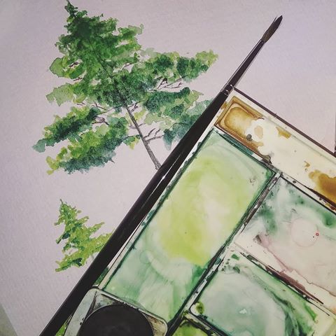 #watercolor #watercolorart #watercolorartwork #tree #pinetree #aquarelle #watercolortrees #watercolortree #watercolorplants