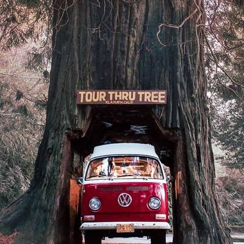Welcome 😌
#hippietree #hippiestyle #bohostyle #hippiechic #bohochic #bohemianstyle #bohemiandecor #hippieworld #hippielifestyle #hippieheart #bohemianlife #landscape #landscapephotography #landscapes