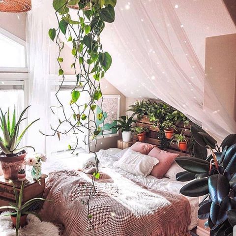 #Repost @zebodeko with @get_repost
・・・
Guess what day it is? Yeppa yeppa its #letsjungelize day🍃🌟🌴🌟🍃
and todays winner's is @kim.wynn !!! OMG you know I get weak when you bring hanging plants in your bedroom🌴🌴 Meet Kim and discover her gooorgeous feed, you won't be dissapointed!
🍃🌟🌴🌟🍃
Keep on tagging #letsjungelize for feature
🍃🌟🌴🌟🍃
And follow your hosts 
@zebodeko
@thenewjungelizers
🍃🌟🌴🌟🍃
📸 @kim.wynn
.
#designyourspaces
#mybotanicalabode 
#doingneutralright
#apartmenttherapy #rockmyvibe 
#nestandthrive
#homesohard
#peepmypad
#interiordesign
#decorationinterieur 
#bohostyle
#thenewbohemians
#jungalow
#myplantlovinghome
#diseñodeinteriores
#interior123 
#whiteandwood
#bohemiandecor 
#myinterior
#décoration
#chambre
#decoracion
#myinterior
#planteriordesign
#modernbohemian  #mybohoabode
#roomporn
#welltraveledhome
#pocketofmyhome